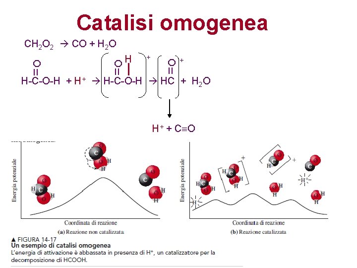 Catalisi omogenea H + =O =O =O CH 2 O 2 CO + H