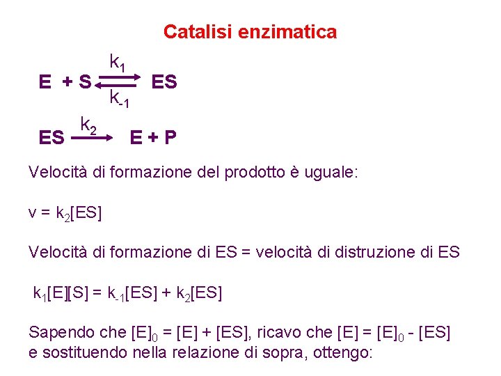 Catalisi enzimatica E +S ES k 2 k 1 k-1 ES E+P Velocità di