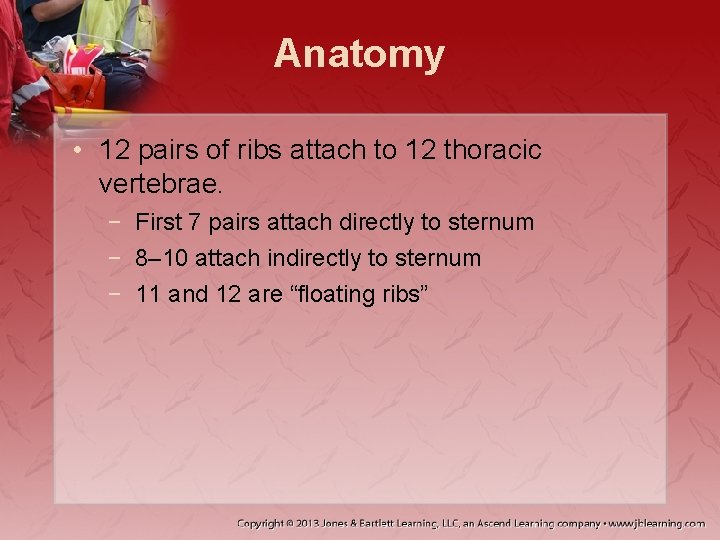 Anatomy • 12 pairs of ribs attach to 12 thoracic vertebrae. − First 7