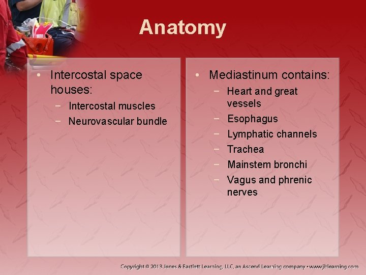 Anatomy • Intercostal space houses: − Intercostal muscles − Neurovascular bundle • Mediastinum contains: