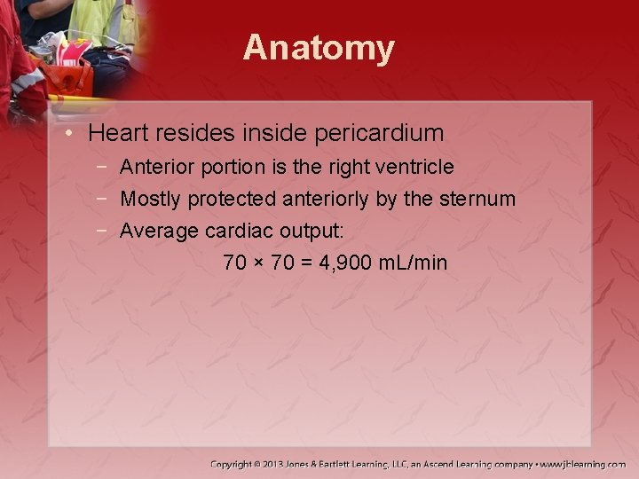 Anatomy • Heart resides inside pericardium − Anterior portion is the right ventricle −