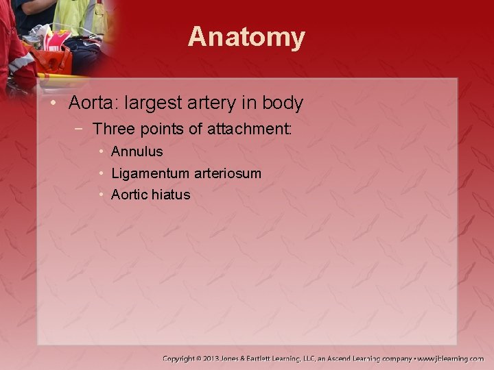Anatomy • Aorta: largest artery in body − Three points of attachment: • Annulus
