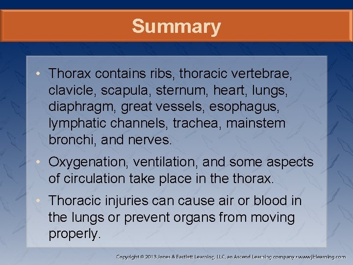 Summary • Thorax contains ribs, thoracic vertebrae, clavicle, scapula, sternum, heart, lungs, diaphragm, great