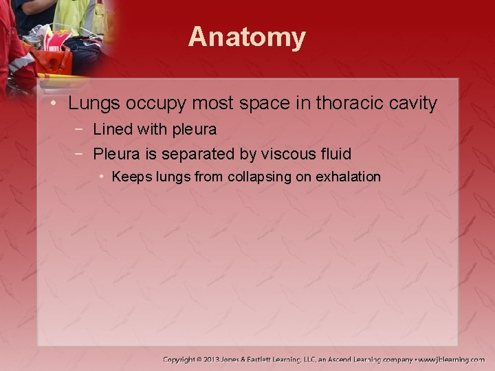 Anatomy • Lungs occupy most space in thoracic cavity − Lined with pleura −