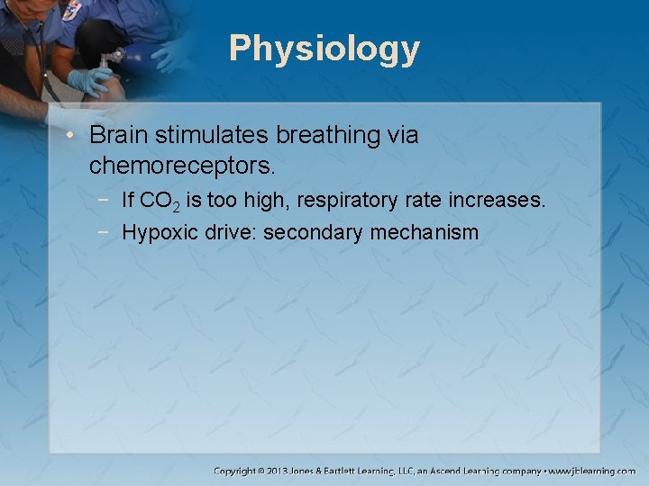 Physiology • Brain stimulates breathing via chemoreceptors. − If CO 2 is too high,