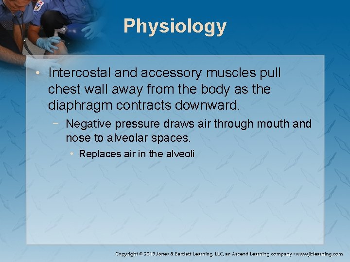 Physiology • Intercostal and accessory muscles pull chest wall away from the body as