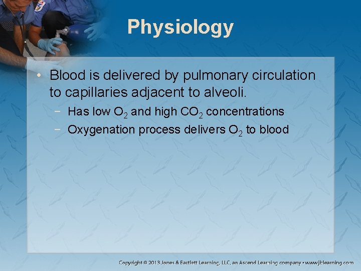 Physiology • Blood is delivered by pulmonary circulation to capillaries adjacent to alveoli. −
