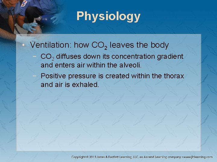 Physiology • Ventilation: how CO 2 leaves the body − CO 2 diffuses down