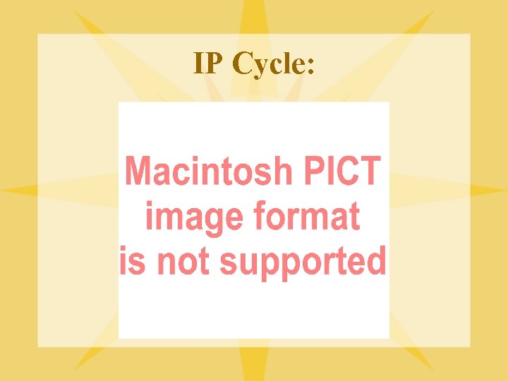 IP Cycle: 
