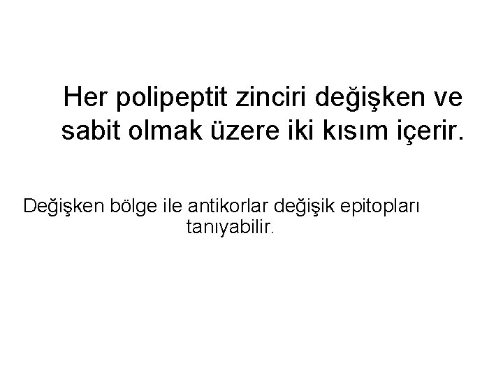 Her polipeptit zinciri değişken ve sabit olmak üzere iki kısım içerir. Değişken bölge ile