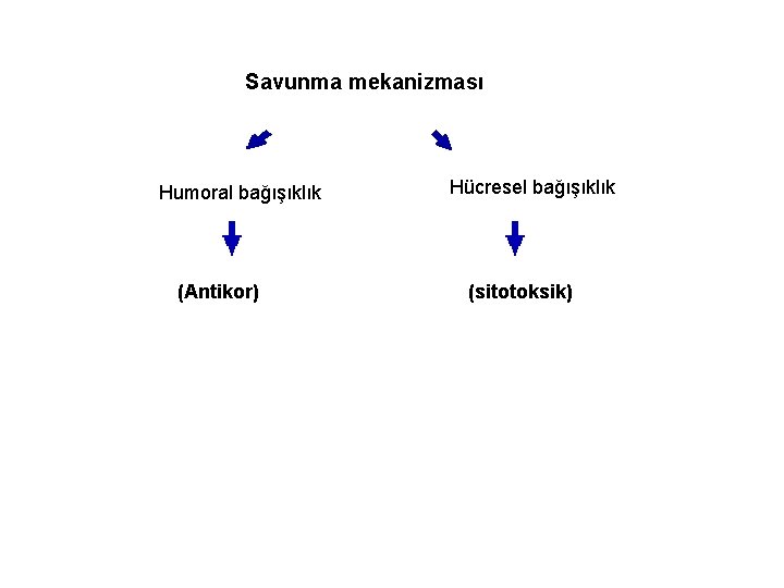 Savunma mekanizması Humoral bağışıklık (Antikor) Hücresel bağışıklık (sitotoksik) 