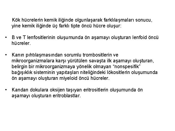 Kök hücrelerin kemik iliğinde olgunlaşarak farklılaşmaları sonucu, yine kemik iliğinde üç farklı tipte öncü