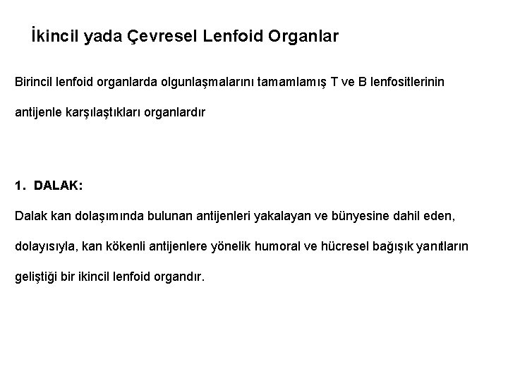 İkincil yada Çevresel Lenfoid Organlar Birincil lenfoid organlarda olgunlaşmalarını tamamlamış T ve B lenfositlerinin