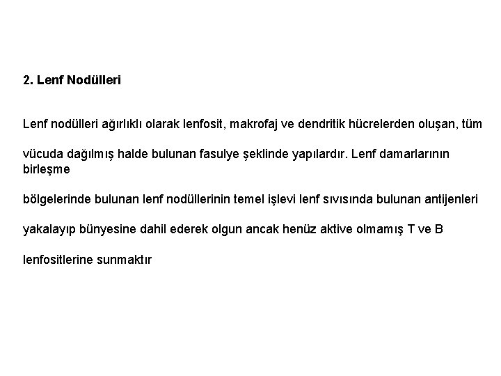 2. Lenf Nodülleri Lenf nodülleri ağırlıklı olarak lenfosit, makrofaj ve dendritik hücrelerden oluşan, tüm