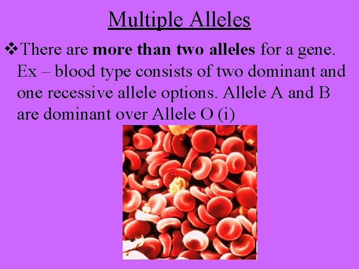 Multiple Alleles v. There are more than two alleles for a gene. Ex –