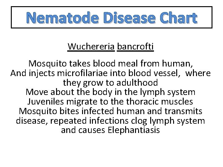 Nematode Disease Chart Wuchereria bancrofti Mosquito takes blood meal from human, And injects microfilariae