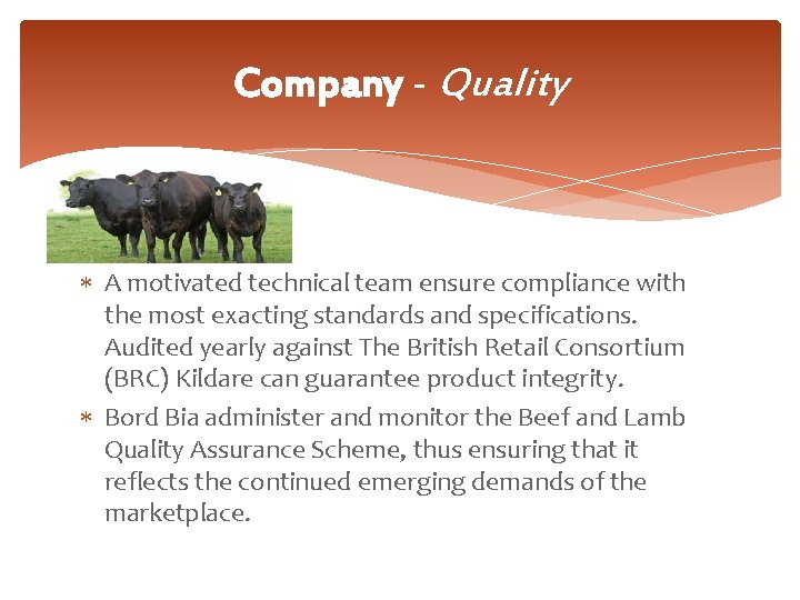 Company - Quality A motivated technical team ensure compliance with the most exacting standards