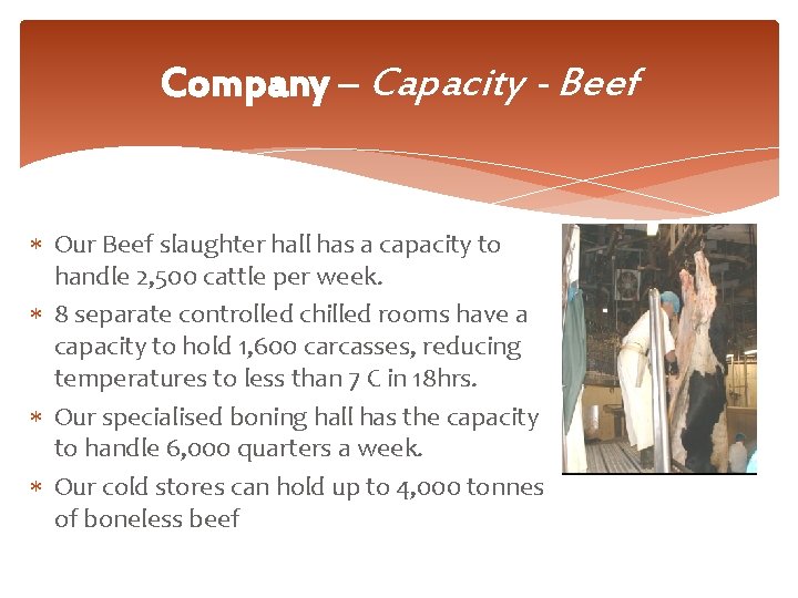 Company – Capacity - Beef Our Beef slaughter hall has a capacity to handle