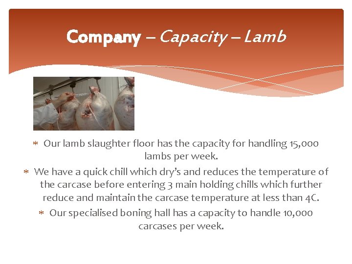 Company – Capacity – Lamb Our lamb slaughter floor has the capacity for handling