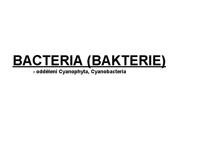 BACTERIA (BAKTERIE) - oddělení Cyanophyta, Cyanobacteria 