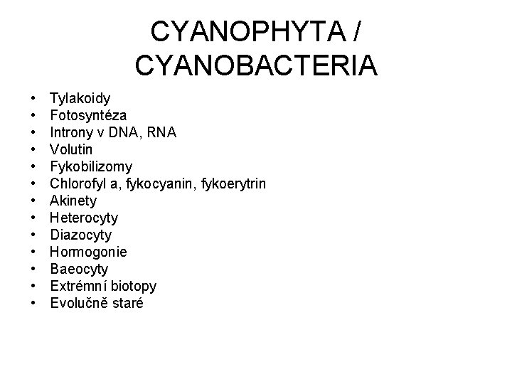 CYANOPHYTA / CYANOBACTERIA • • • • Tylakoidy Fotosyntéza Introny v DNA, RNA Volutin