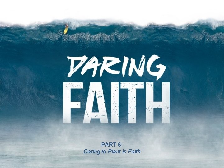 PART 6: Daring to Plant in Faith 