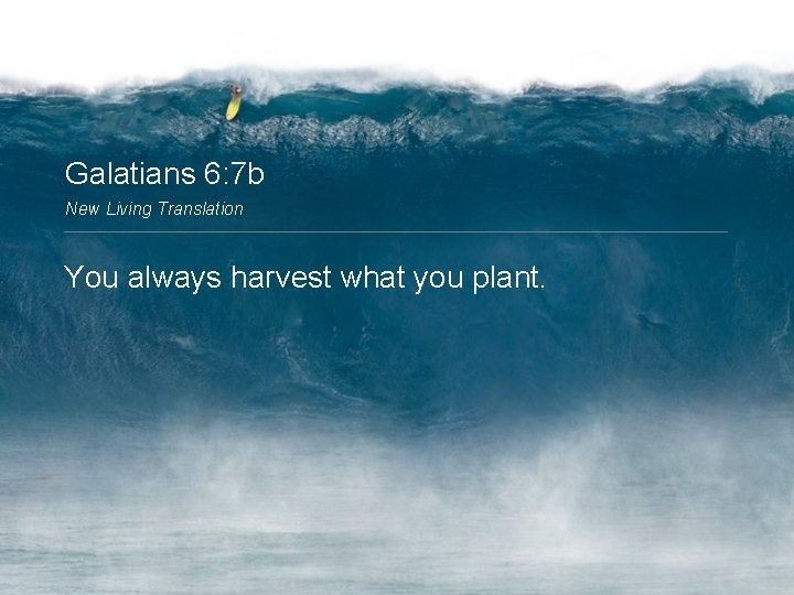 Galatians 6: 7 b New Living Translation You always harvest what you plant. 