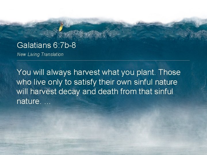 Galatians 6: 7 b-8 New Living Translation You will always harvest what you plant.