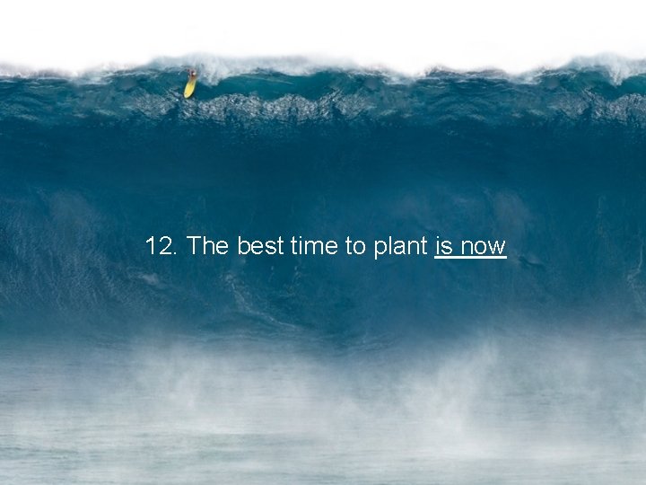12. The best time to plant is now 