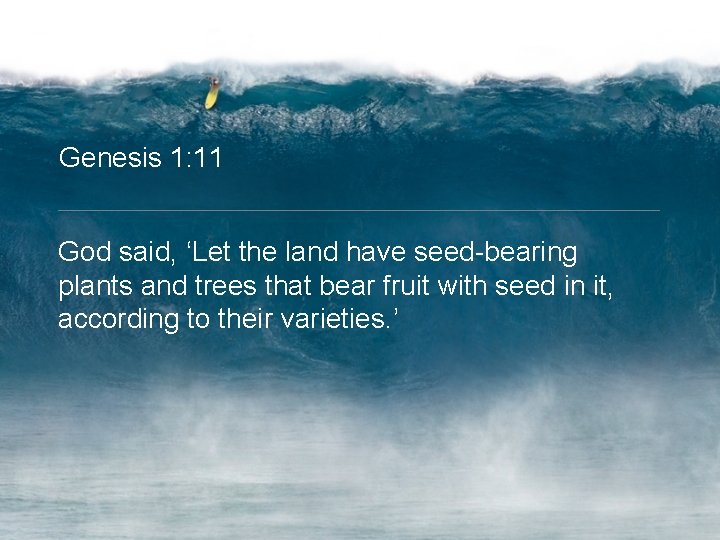 Genesis 1: 11 God said, ‘Let the land have seed-bearing plants and trees that