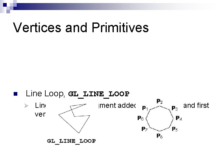 Vertices and Primitives n Line Loop, GL_LINE_LOOP Ø Line strip with a segment added