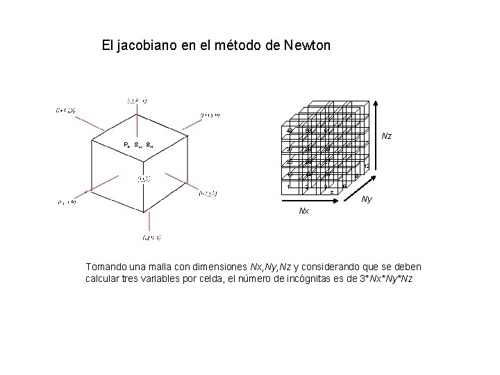 El jacobiano en el método de Newton 49 50 51 37 38 39 25