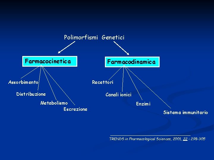 Polimorfismi Genetici Farmacocinetica Assorbimento Farmacodinamica Recettori Distribuzione Metabolismo Escrezione Canali ionici Enzimi Sistema immunitario