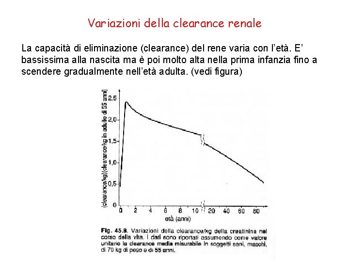 Variazioni della clearance renale La capacità di eliminazione (clearance) del rene varia con l’età.