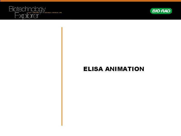 ELISA ANIMATION 