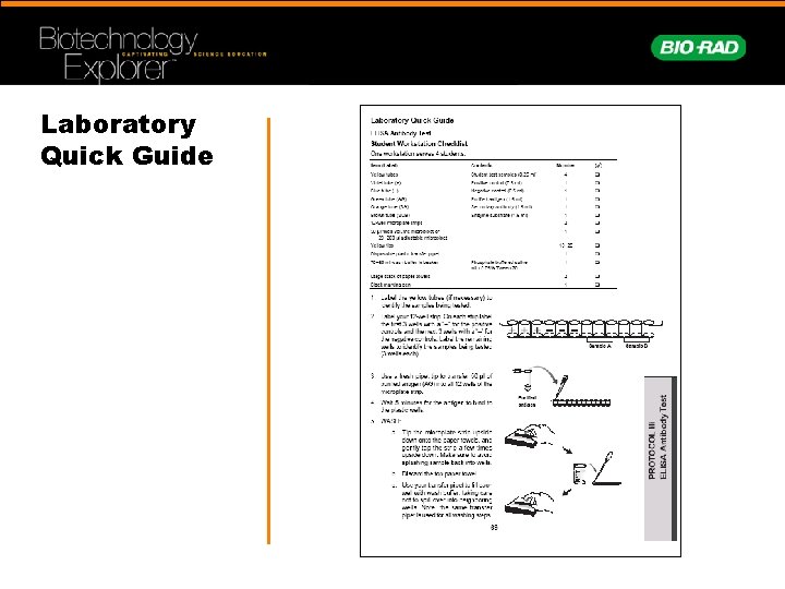 Laboratory Quick Guide 