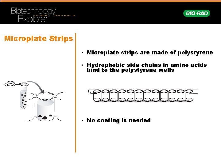 Microplate Strips • Microplate strips are made of polystyrene • Hydrophobic side chains in