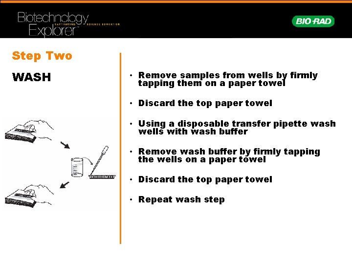 Step Two WASH • Remove samples from wells by firmly tapping them on a