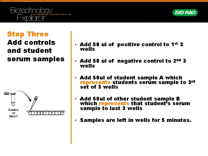 Step Three Add controls and student serum samples • Add 50 ul of positive