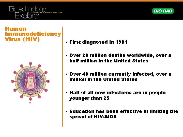 Human Immunodeficiency Virus (HIV) • First diagnosed in 1981 • Over 20 million deaths