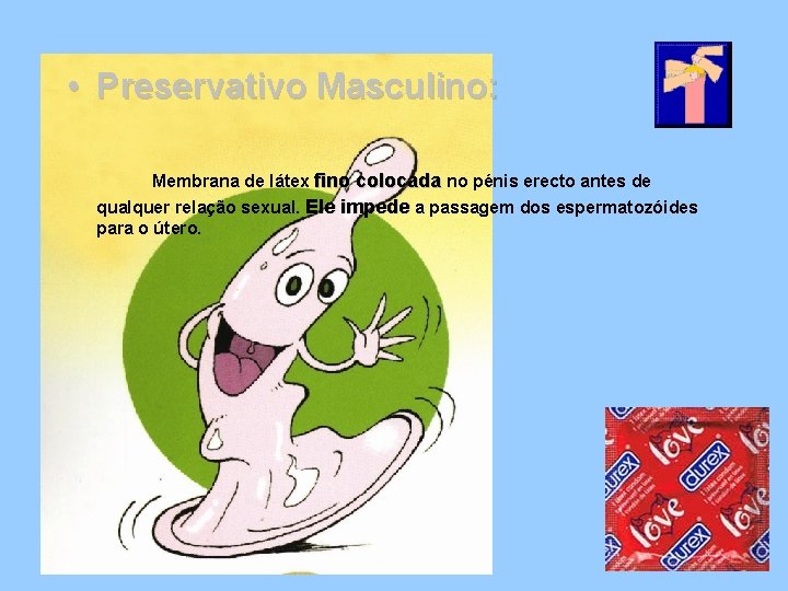  • Preservativo Masculino: Membrana de látex fino colocada no pénis erecto antes de