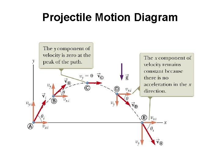 Projectile Motion Diagram 