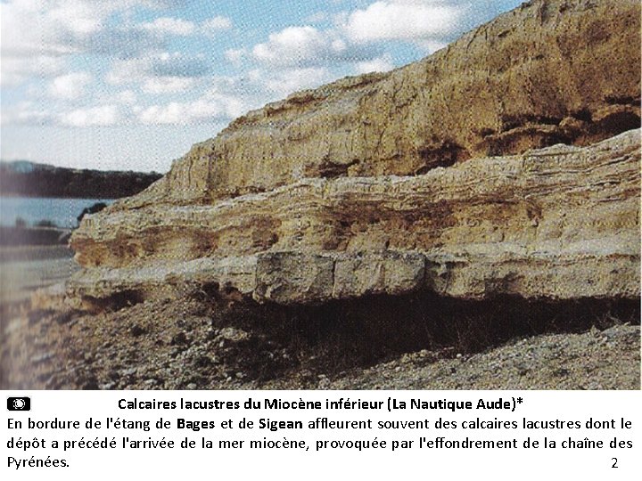 Calcaires lacustres du Miocène inférieur (La Nautique Aude)* En bordure de l'étang de Bages