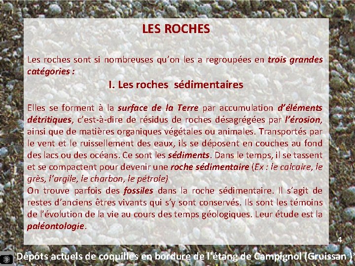 LES ROCHES Les roches sont si nombreuses qu’on les a regroupées en trois grandes