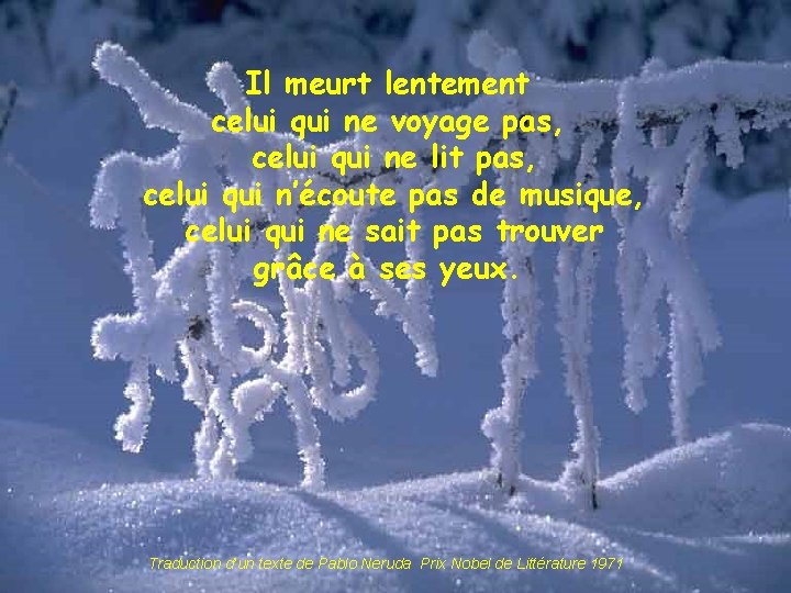 Il meurt lentement celui qui ne voyage pas, celui qui ne lit pas, celui Il meurt lentement celui qui ne voyage pas, celui qui ne lit pas, celui