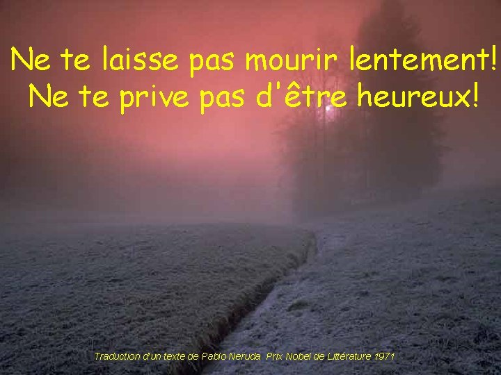 Ne te laisse pas mourir lentement! Ne te prive pas d'être heureux! Traduction d’un Ne te laisse pas mourir lentement! Ne te prive pas d'être heureux! Traduction d’un