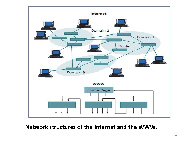 Network structures of the Internet and the WWW. 16 