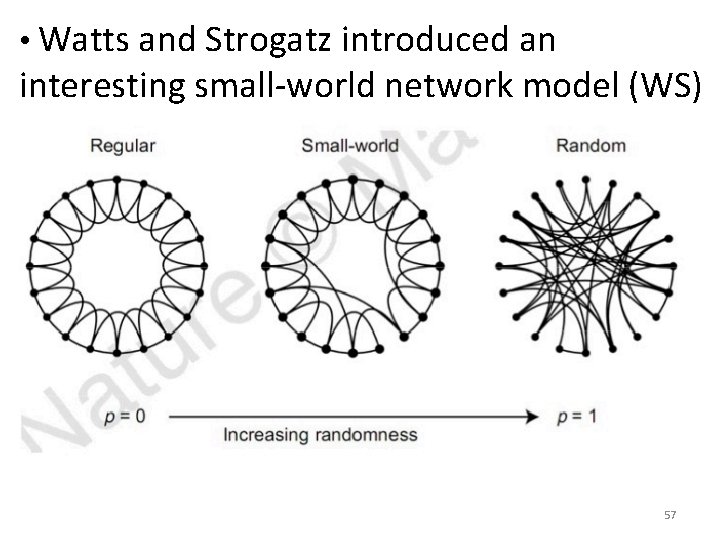  • Watts and Strogatz introduced an interesting small-world network model (WS) as .