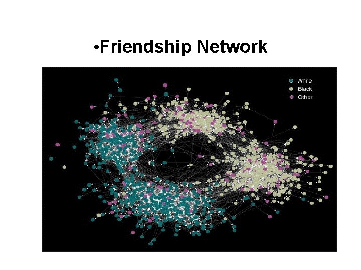  • Friendship Network 