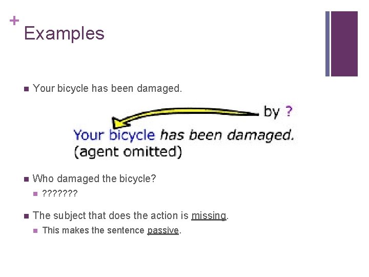 + Examples n Your bicycle has been damaged. n Who damaged the bicycle? n